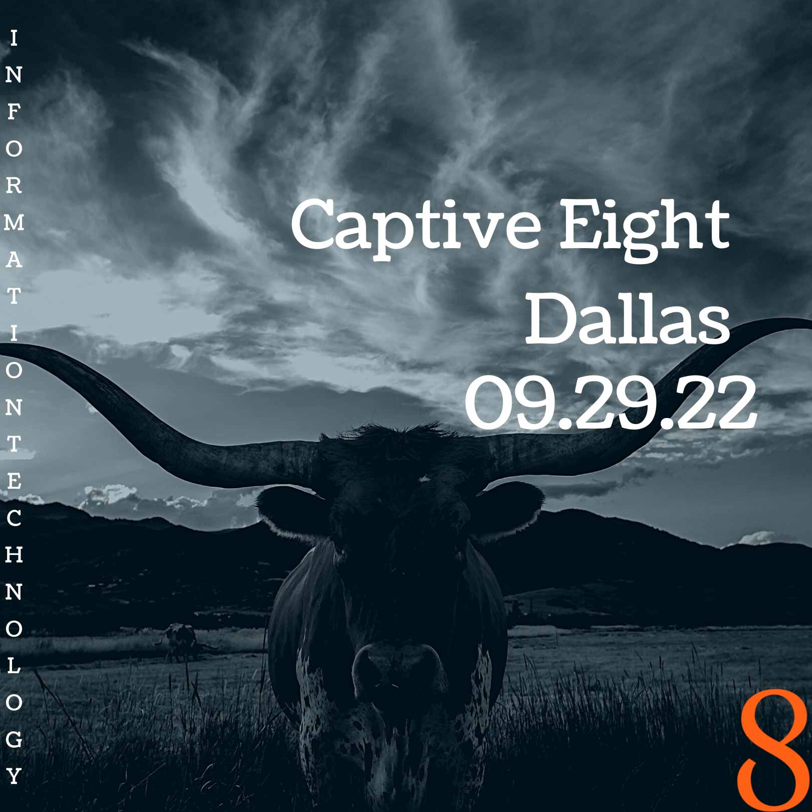 Captive Eight IT event: Dallas